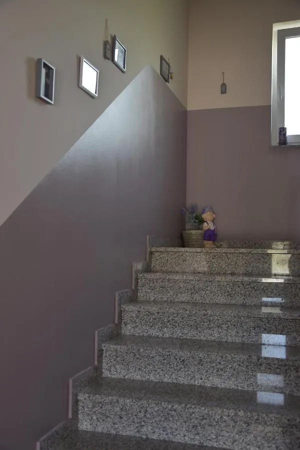 Apartmani Andrea Cizici