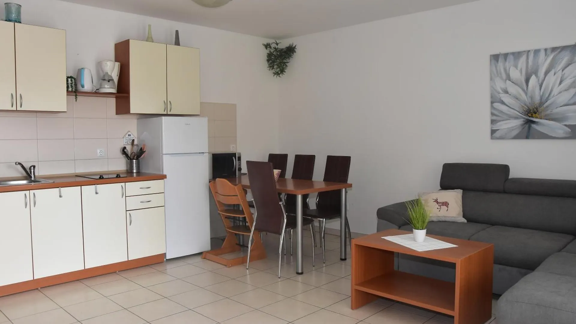Apartmani Andrea Cizici Croatia