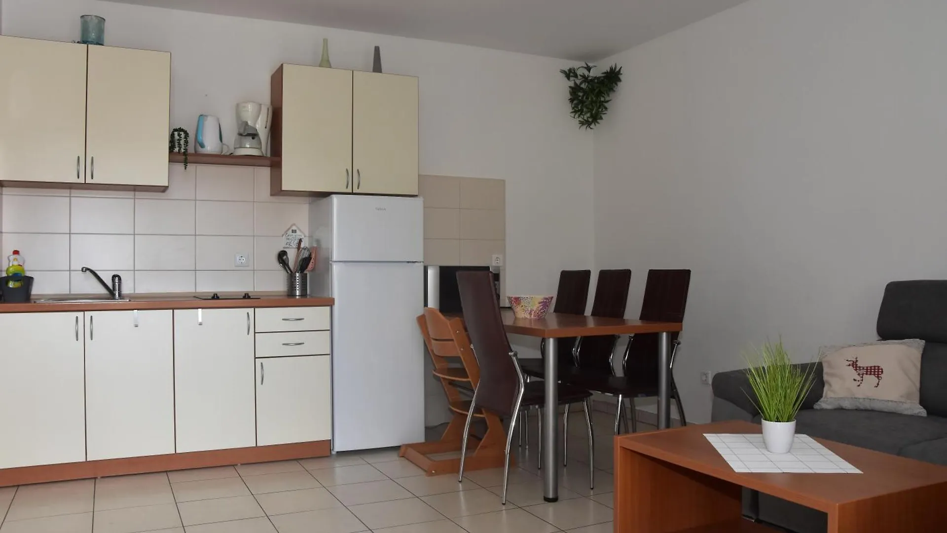Apartmani Andrea Cizici 0*,  Croatia